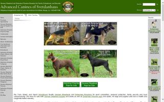 Advanced Canines of Svetdanhaus