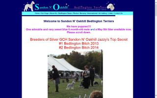 Sandon N' Oakhill Bedlington Terriers