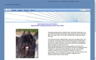 Blue Sky Bouvier des Flandres