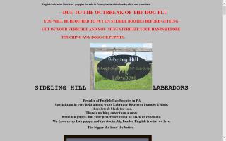 Sideling Hill Labradors