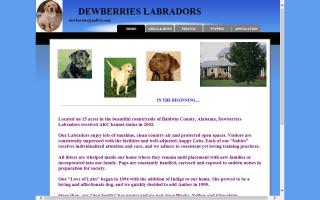Dewberries Labradors