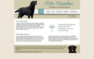 Mountain Meadow Labradors