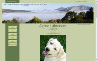 Alpine Labradors