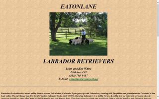 Eatonlane Labrador Retrievers