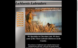 LaMorris Labradors