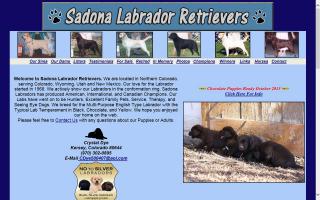 Sadona Labrador Retrievers