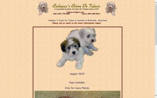 Cadeaux's Coton De Tulear