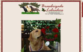 Brassbrigade Labrador Retrievers