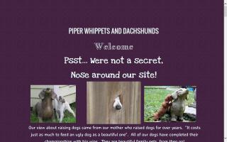 Piper Whippets and Dachshunds