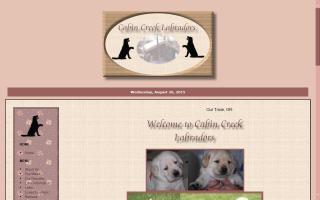 Cabin Creek Labradors