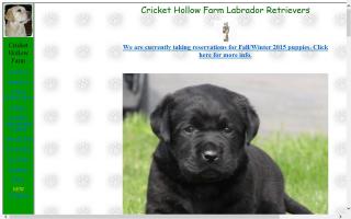 Cricket Hollow Farm Labrador Retrievers