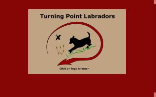 Turning Point Labradors / Worth Every Penny