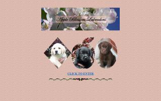 Apple Blossom Labradors