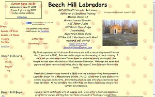 Beech Hill Labradors