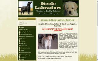 Steele Labradors