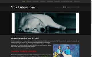 YellowBreeches Labs