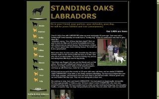 Standing Oaks Labradors