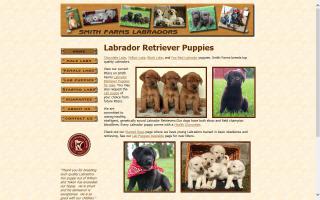 Smith Farms Labradors