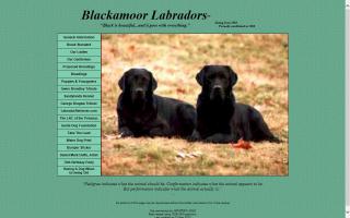 Blackamoor Labradors