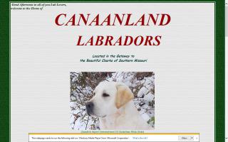 Canaanland Labradors