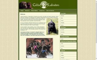 Celtia Labradors