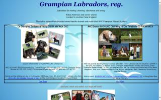 Grampian Labradors