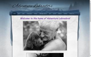 Adventure Labradors at Ledgewood