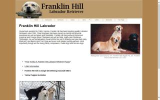 Franklin Hill Labrador Retrievers