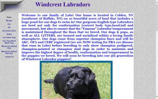 Windcrest Labradors