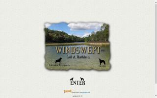 Windswept Labrador Retrievers
