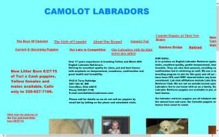 Camolot Labradors