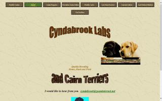 Cyndabrook Labs and Cairn Terriers