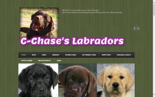 C-Chase's Labradors