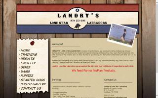 Landry's Lone Star Labradors