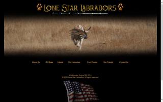 Lone Star Labradors