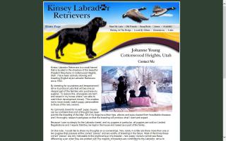 Kinsey Labrador Retrievers