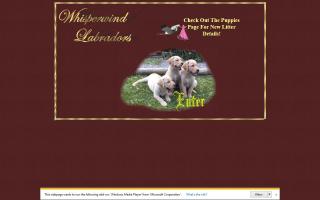 Whisperwind Labradors