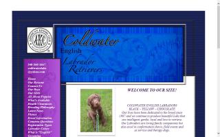 Coldwater Labrador Retrievers