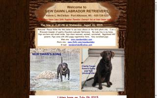 New Dawn Labrador Retrievers