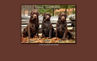 Lor-al Labradors