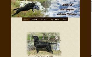 Avokah Multipurpose Labrador Retrievers