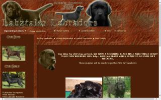 Labztales Labradors