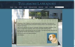 Tullamore Labradors