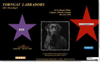 Torngat Labrador Retrievers