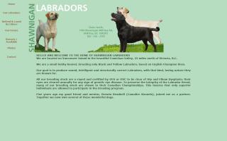 Shawnigan Labradors