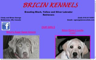 Bricin Kennels