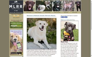 Midwest Labrador Retriever Rescue - MLRR