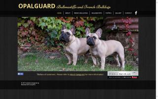 Bullmastiffs and French Bulldogs of Opalguard Australia