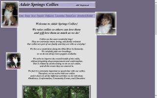 Adair Springs Collies