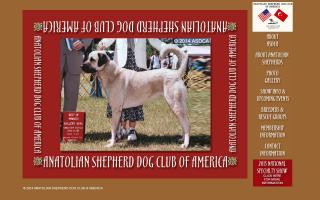 Anatolian Shepherd Dog Club of America, Inc. - ASDCA